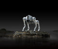 Unitree Go2 Air quadruped robot dog available in Canada from NextRobo